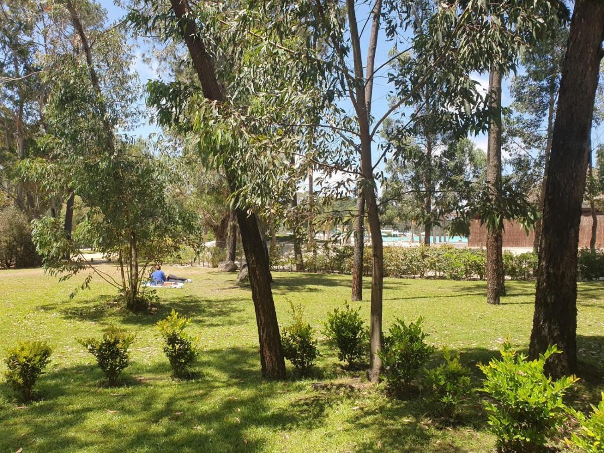 Punta Del Este, Forest Lagoon, Luxury Екстер'єр фото